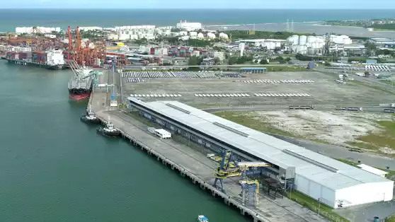 Publicado edital de licitação do Terminal de Granéis Sólidos de Suape 