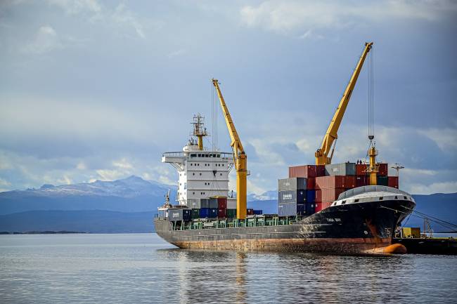 Friend of the Sea lança certificação de segurança e publica dossiê sobre colisões de barcos com baleias