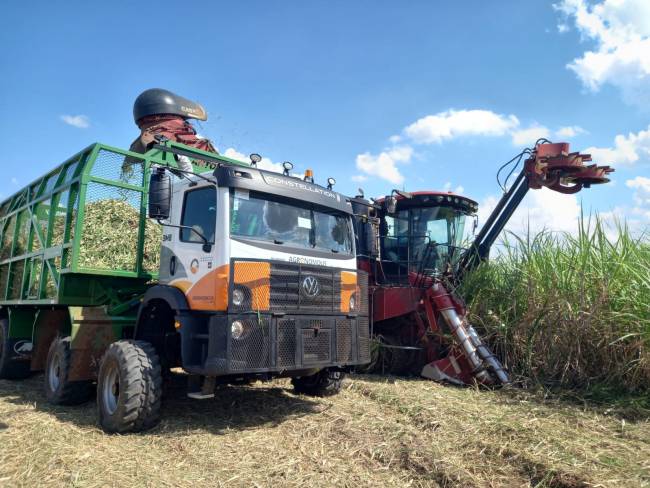 VAMOS expande frota com 20 novos caminhões agronomous da VWCO