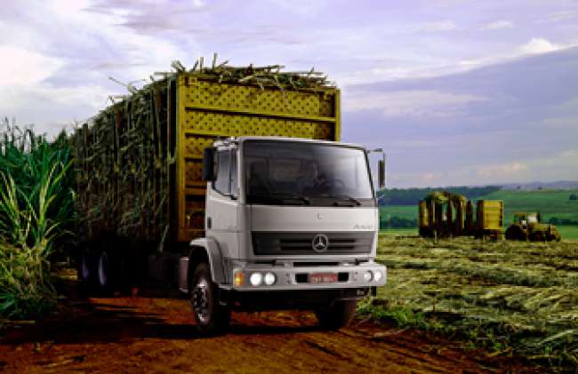 Ouro-Verde-Mercedes--Benz---crédito-Divulgação-Mercedes-Benz-interna