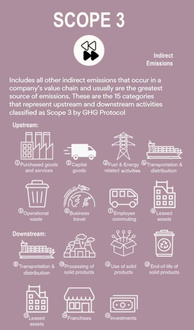Estado da Sustentabilidade em Supply Chain em 2025